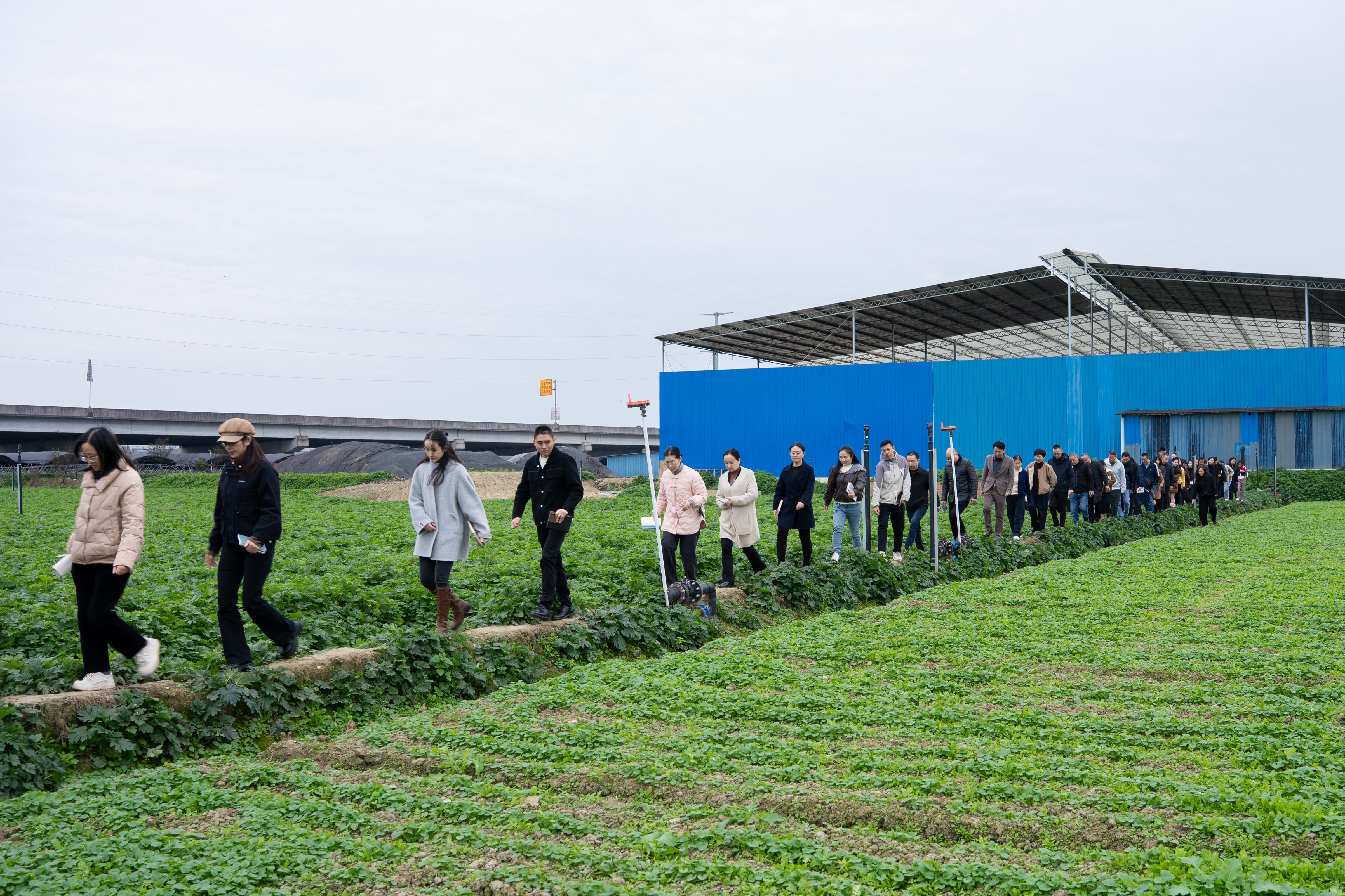 jackpot·(中国区)官方网站